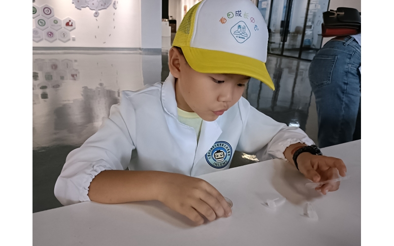 第二十九届“探索生命起源 揭开生命奥秘”科普系列活动圆满结束